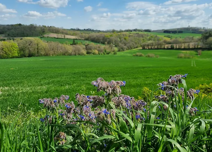 Lbca Maison Campagnarde *