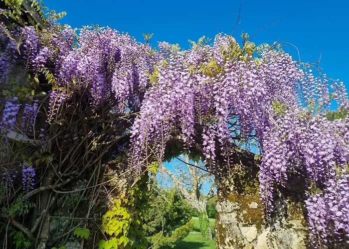 Feriehus Lbca Maison Campagnarde *